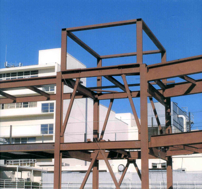 Steel Frame Building